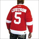 DETROIT RED WINGS (デトロイトレッドウィング) replica アイスホッケーシャツ 5【LIDSTROM】アイスホッケー ゲームシャツ 大きいサイズメンズ メンズ大きいTシャツ ヒップホップ衣装 ダンス 衣装 ジャージ