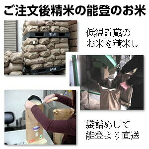 能登産 ひとめぼれ 10kg (石川県能登半島珠洲のお米)