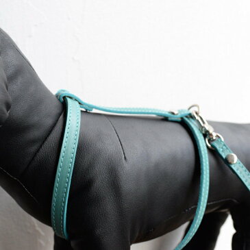 【BABA PARIS】 ババ パリ MADELEINE harness & leash エメラルドブルー ハーネス