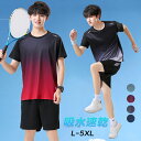 スポーツウェア メンズ レディース ランニングウェア 上下セット 半袖 tシャツ セットアップハーフパンツセット スポーツウェア トレーニングウェア カジュアル 薄手 ショーツ 吸汗速乾 無地 通気防臭 春 夏 大きいサイズ