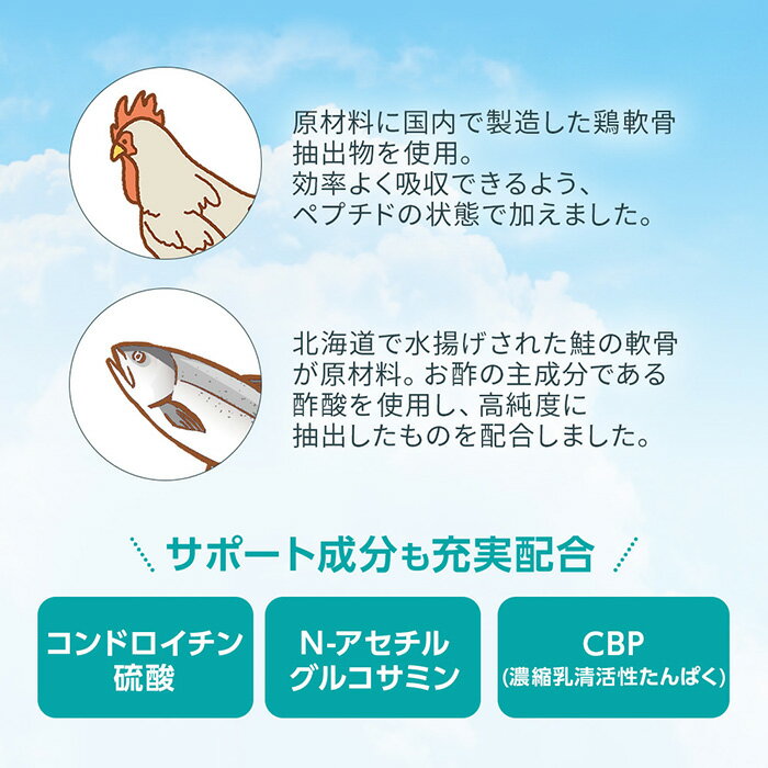 【店内P最大18倍以上開催】 コンドロイチン グルコサミン CBP【DHC直販】II型コラーゲン+プロテオグリカン 30日分 | サプリメント 男性 女性 膝 2型コラーゲン タンパク質 関節 コラーゲン ひざ 膝関節 健康 3
