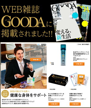 【最大P15倍以上&400pt開催】 【DHC直販】 サプリ マルチビタミン&ミネラル 30日分 ナイアシン パントテン酸 ビオチン ビタミンB1 ビタミンC ビタミンE ビタミンK 鉄 亜鉛 銅 well|dhc コエンザイムq10 アミノ酸 健康 サプリメント 健康食品