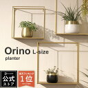 \楽天1位/オリノ プランター Lサイズ 4号 植木鉢 北欧 レトロ ゴールド 黒 白 鉢カバー プランターポッド DI CLASSE Orino Plante...