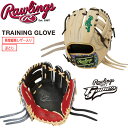 野球 硬式用トレーニンググローブ 一般用 軟式可 ローリングス Rawlings 右投げ用 サイズT GH3FGTK4T