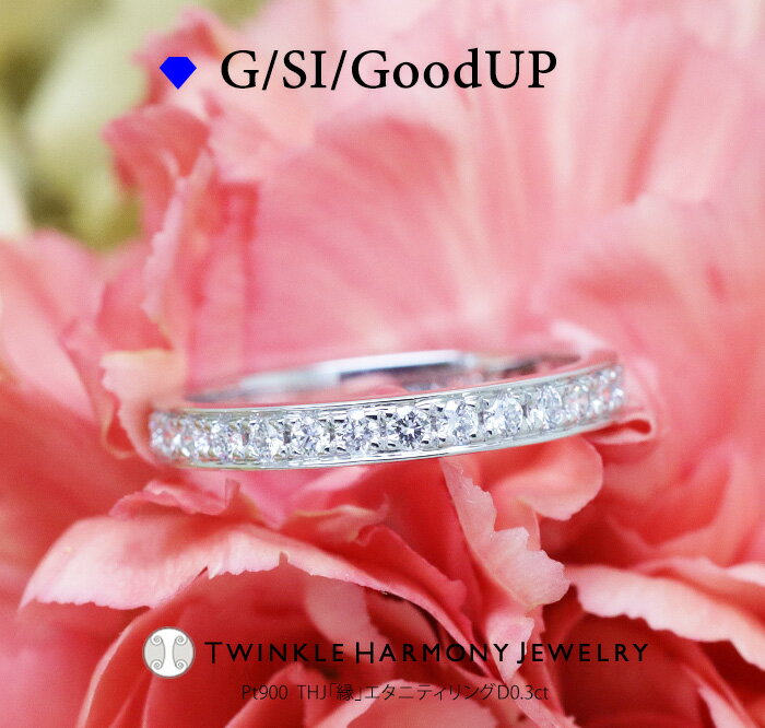 THJSS10％OFF!! 0.3ct プラチナ900 THJ「縁」エタニティリング D0.3ct 高品質SIクラス以上 17石 Pt900専門店プレゼント 指輪のサムネイル