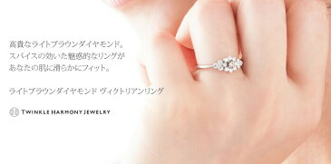 0.5ct プラチナ900 THJヴィクトリアン〜RICH BROWNリング D0.5ct 高品質VSクラス RICH BROWNダイヤモンド 一粒ダイヤ エタニティリング ダイヤモンド 指輪 レディース ピンキーリング 誕生日 記念日 刻印 ギフト プレゼント 送料無料