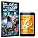 RISE ガラスフィルム フィルム ブルーライトカット 93% iPad mini 5 (第 5 世代) 2019年 / iPad mini 4 (第 4 世代...
