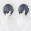 KTJMCOS 耐熱コスプレウィッグ シエル · ファントムハイヴ 黒 執事 cosplay wig がんたい 変装 かつら コスプレ 道具 クリスマス 変装 イベント 演出 演劇 撮影