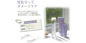 リ：プラチナムシャンプー 4000ml【アジュバン ADJUBANT Re:シリーズ】【国内正規品】