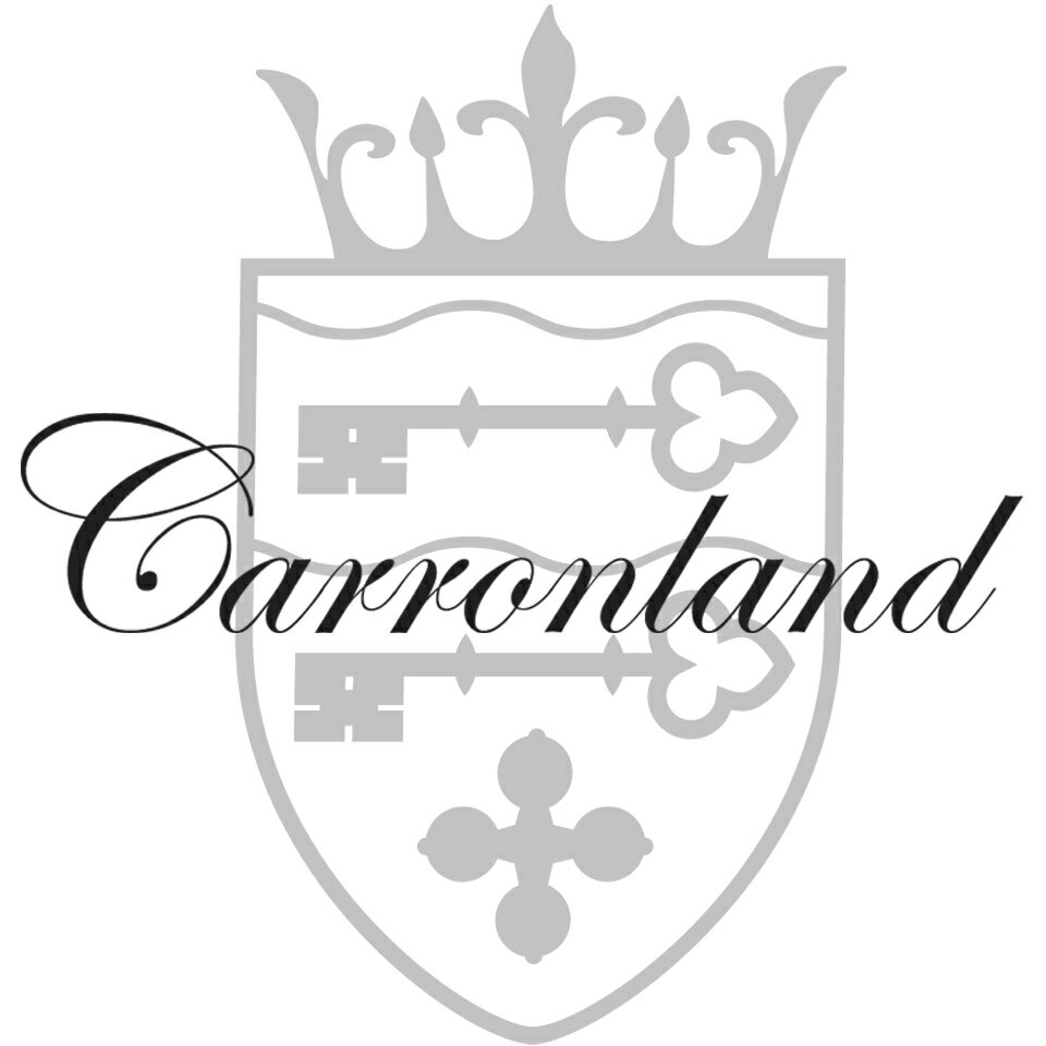 Shop icon