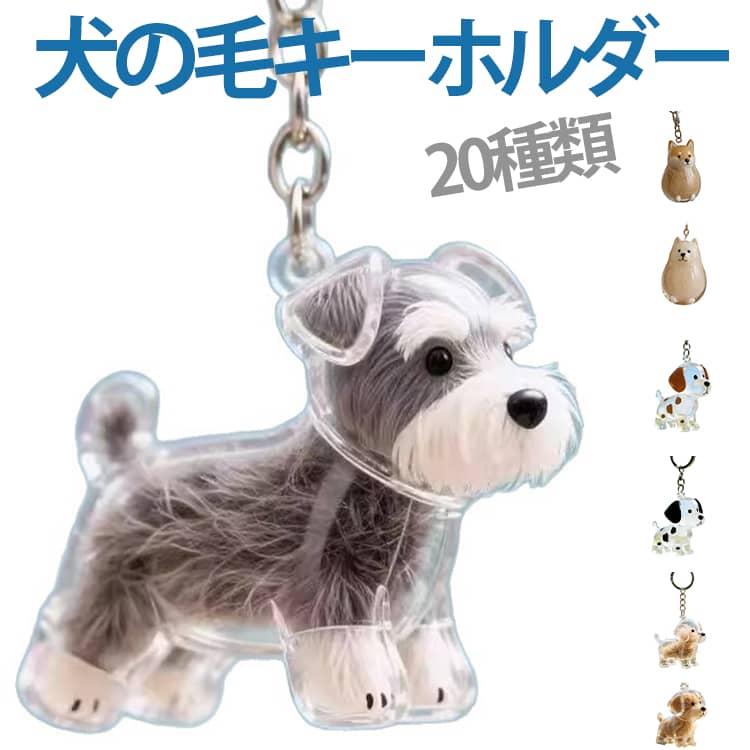 可愛い新作！ペット キーホルダー 犬の毛収納ボトル 毛を保管するボトル 毛 透明 遺毛 犬のキーホルダー キーホルダー 遺毛入れ ペット 可愛い新作！ペット 抜け毛収納 ケース かわいい 携帯 お守り メモリアルグッズ 持ち歩き
