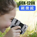 楽天スーパーセール最大47倍 ハンディ顕微鏡 60~120倍 LEDライト UVライト付き 学習用顕微鏡 子供用 自由研究 小学生 中学生 理科観察向け