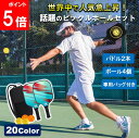 【新発売記念10%OFFクーポン配布中!】ピックルボール パドル ラケット ボール ピックルボール セット ピックラケット パドル ピクルラケット ピクサーラケット 2本 専用バッグ付き バッグ 練習 スポーツ アウトドア 軽量 レジャー