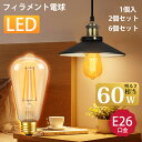 【フィラメント電球 エジソン電球】 DiCUNO E26 LED電球 60W形相当 エジソンバルブ 電球色 2700K 6W 806lm 茶色 裸電球 ゴージャ...