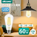 【フィラメント電球 エジソン電球】 DiCUNO LED電球 E26 60W形相当 エジソンバルブ 電球色 2700K 6W 806lm 裸電球 ゴージャス レ...
