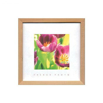French Photography フォトアート Tulips ZFP-51895