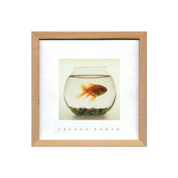 French Photography フォトアート Fish in his Bowl ZFP-51921