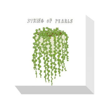 Home Plants STRING OF PEARLS アートパネル ZPA-53530