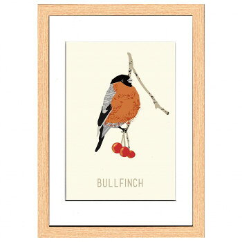 Rakuten - North Birds Bullfinch アートパネル ZNB-53432