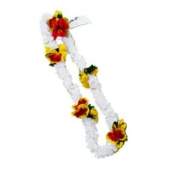 こちらのレイは、少し珍しいお花ランタン・イリマがモチーフです。白いお花の周りにアクセントとしてランタン・イリマとハイビスカスのお花が付いています。ランタンイリマは、昔は王族のレイと呼ばれ、上流階級の間で伝統的な贈り物として親しまれているお花です。【アロハ・ハワイ・レイ社】 フラワーレイと各種アクセサリーの世界的なトップブランドです。ハワイ伝統のレイ作成技法に基づき、特別にデザインされたものです。サイズ長さ:約100cm、首にかけた時:約50cm個装サイズ：50×20×10cm重量個装重量：100g素材・材質ポリエステル繊維生産国中国【企画:アメリカ】※掲載納期は目安であり、商品欠品の場合、お時間をいただいたり、完売の場合もございます。仕様・パッケージなどは予告無く変更となる場合もございます。一部メーカー・仕入れ先からの直送商品等は、沖縄・離島・北海道へは配送不可(又は送料加算)となる場合もございます。広告文責:株式会社ノースウェブ　Tel 0144-52-00184540747837249
