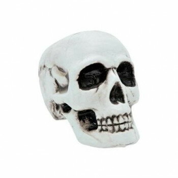 コスチューム　コスプレ衣装　頭蓋骨　ドクロ　模型