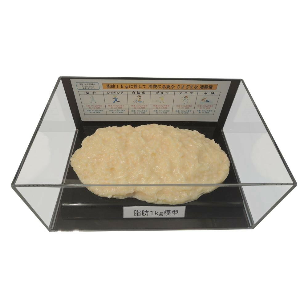 �����Ϸ��ե����奢�������� 1kg IP-978