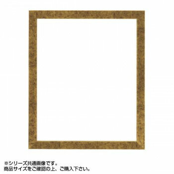 大額 5698 デッサン額 八ツ切 金柄紋