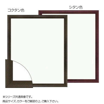 大額 5899 デッサン額 八ツ切 シタン色