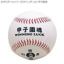 お守りボールシリーズ(サインボール) 甲子園魂 BB78-02
