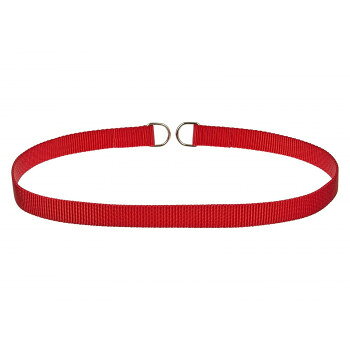 プロ用訓練リード　フラットンカラー　L75cm　赤 030896