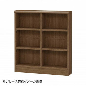 TAIYO OWR オーダーワイドラック 9080スリム ウォールナットブラウン(WB)