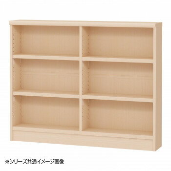 TAIYO OWR オーダーワイドラック 90100スリム ライトナチュラル(LN)