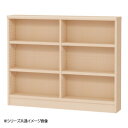 TAIYO OWR オーダーワイドラック 90110スリム ライトナチュラル(LN)(3)