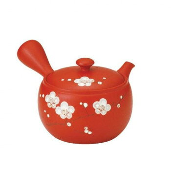 本体いっぱいに網が広がっているため、茶葉は伸び伸びと広がり、茶葉の持っている旨みを存分に引き出してくれます。使用後のお手入れも簡単です。サイズ個装サイズ：11.8×19.2×17.2cm重量個装重量：440g仕様産地:常滑容量(満水時):600cc生産国日本※掲載納期は目安であり、商品欠品の場合、お時間をいただいたり、完売の場合もございます。仕様・パッケージなどは予告無く変更となる場合もございます。一部メーカー・仕入れ先からの直送商品等は、沖縄・離島・北海道へは配送不可(又は送料加算)となる場合もございます。広告文責:株式会社ノースウェブ　Tel 0144-52-00184964565852039