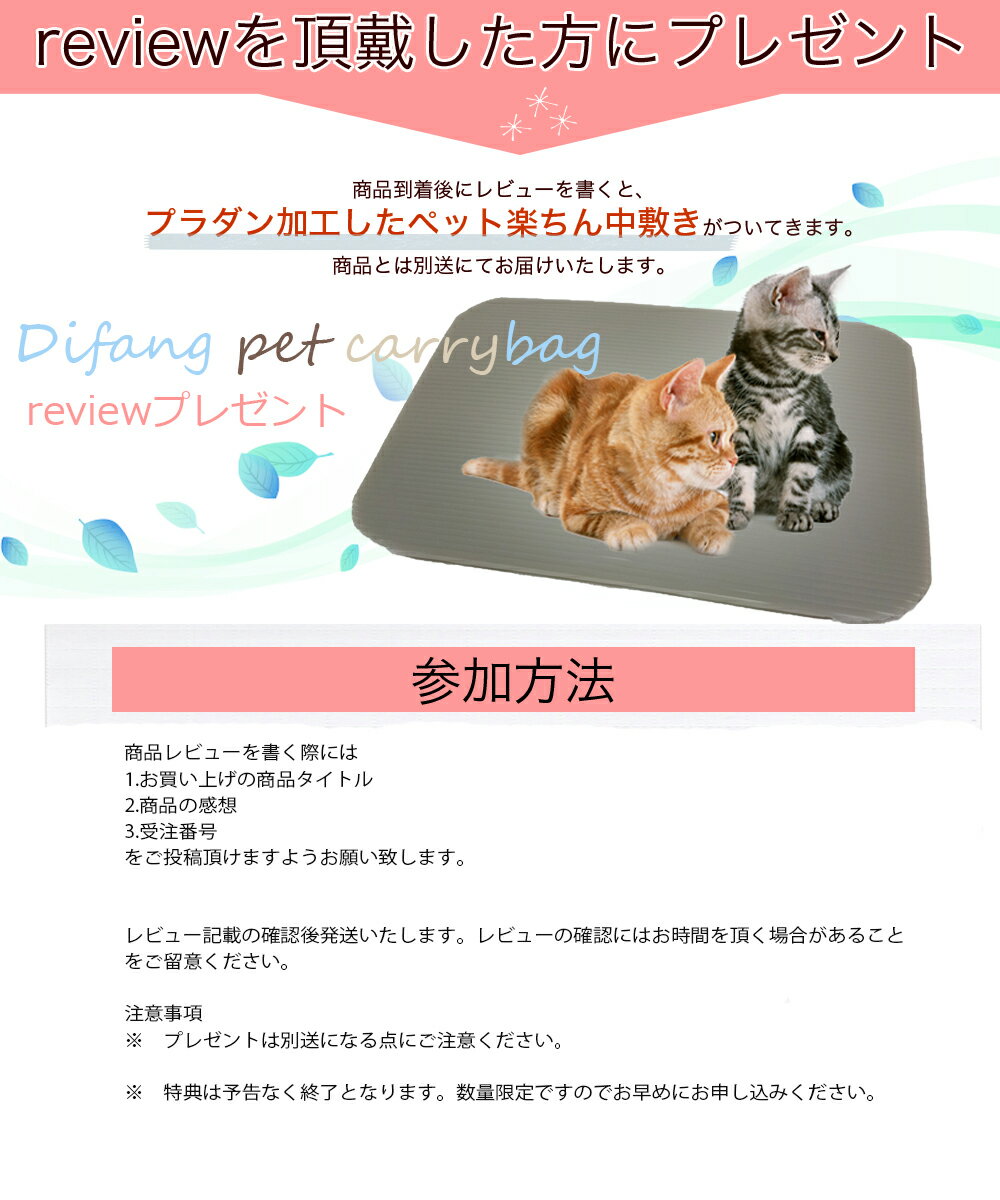 最軽量 猫リュック 送料無料 Mサイズ 猫 キャリーバッグ 猫の移動 怖がりなペットにも安心 マンチカン スコティッシュフォールド トイプードル チワワ 緊急時のリュックに一つ 猫キャリーリュック ペットキャリーバッグ キャリー 超歓迎された リュック 子供も使える程