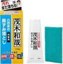 【訳あり】茂木和哉 浴室 凸凹床 黒ずみ 落とし (パワフル除去) 高濃度キレート × 重曹スクラブ × かき出しブラシ 180g 4562302492502