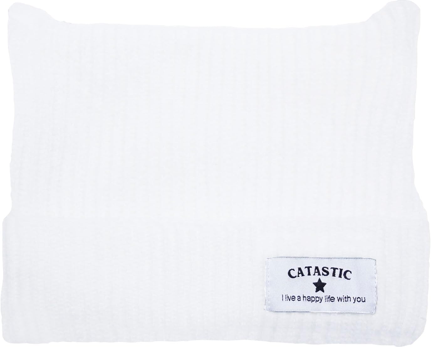 【訳あり】帽子 冬 レディース ニット帽 ねこみみ あざと可愛いニット帽 アイボリー ねこ B0DFSX2RL9 4580615379778