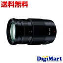 【送料無料】パナソニック Panasonic LUMIX G VARIO 100-300mm/F4.0-5.6 II/POWER O.I.S. H-FSA100300 ズームレンズ 【新品・並行輸入品・保証付き】