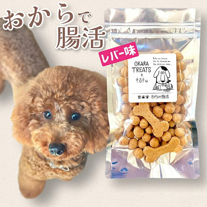 【送料無料】おからトリーツ レバー味 60g 国産 無添加 ドッグフード（OKARA TREATS）【ゆうパケット便発送】