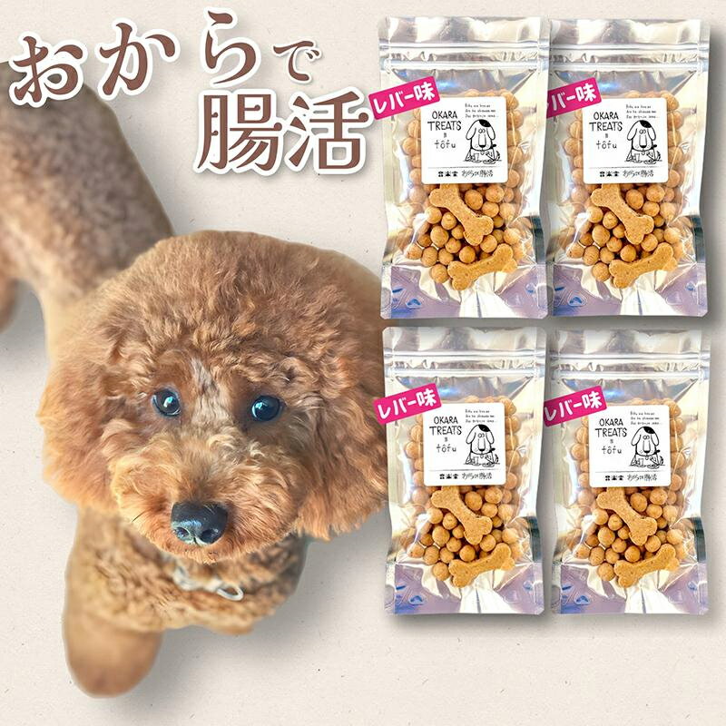 【送料無料】おからトリーツ レバー味 240g 60g×4袋 国産 無添加 ドッグフード（OKARA TREATS）【ゆうパケット便発送】