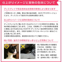 仕上がりイメージと実物の色味について