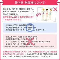 著作権・肖像権について