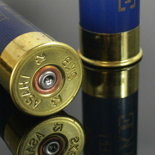 【中古】アサヒ NIKE 空薬きょう 12ゲージ スキート [ 2個セット ] ショットガン Y-ABL2-2 | やっきょう ライフルカートリッジ ショットシェル 散弾 12番 12G 空薬莢