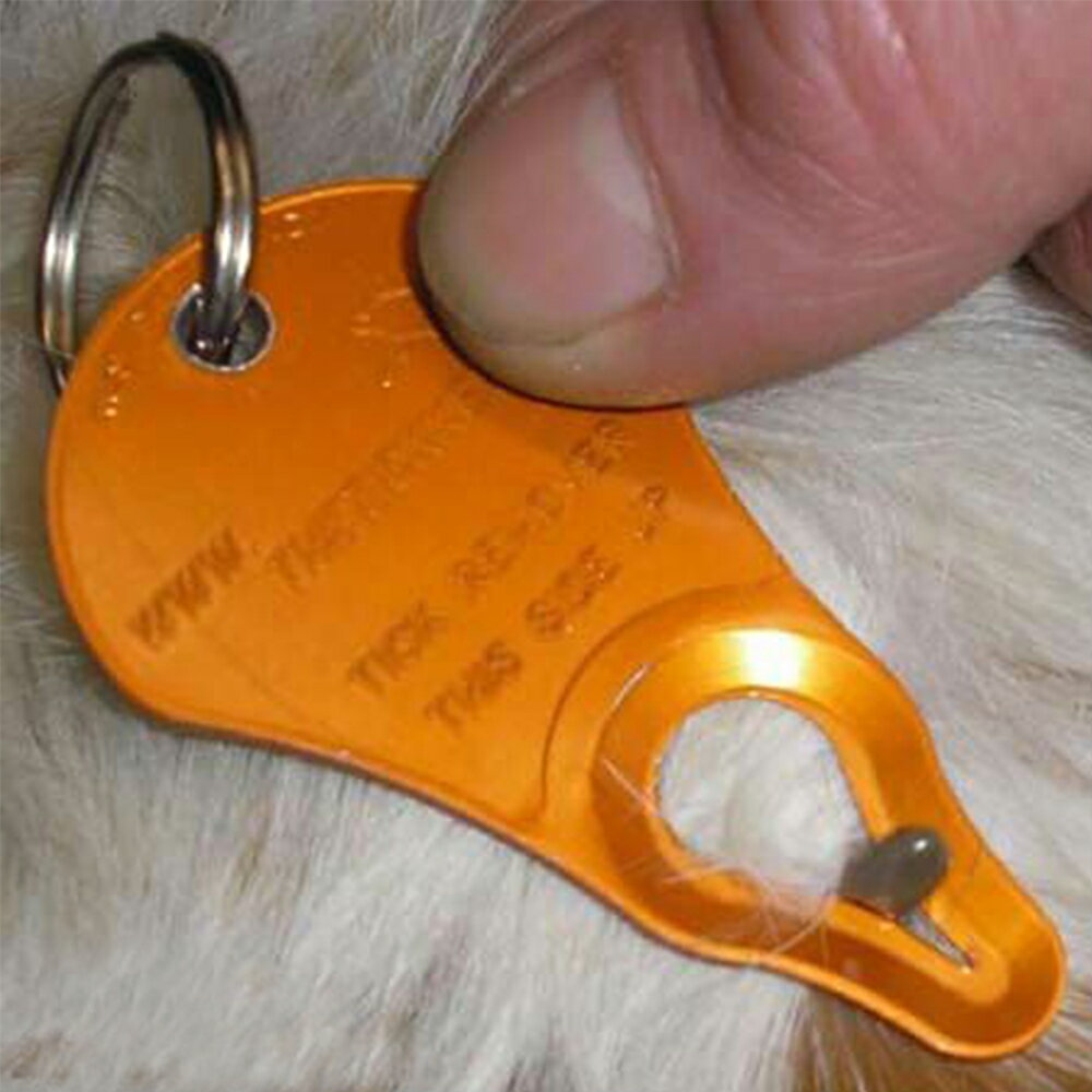 Tick Key ���˼�� �ƥ��å����� ������ �ڥå����� �����к� ���ˤȤ� �����༣ ���˶�� �����ȥɥ� ������ ������ ǭ���� �ڥåȥ��å� ������� ���ѻ��� ���� �����к� ��褱 ����� �����к� ���༣ ���� ����� ���ɻ� ���к� �����ɻ� �������