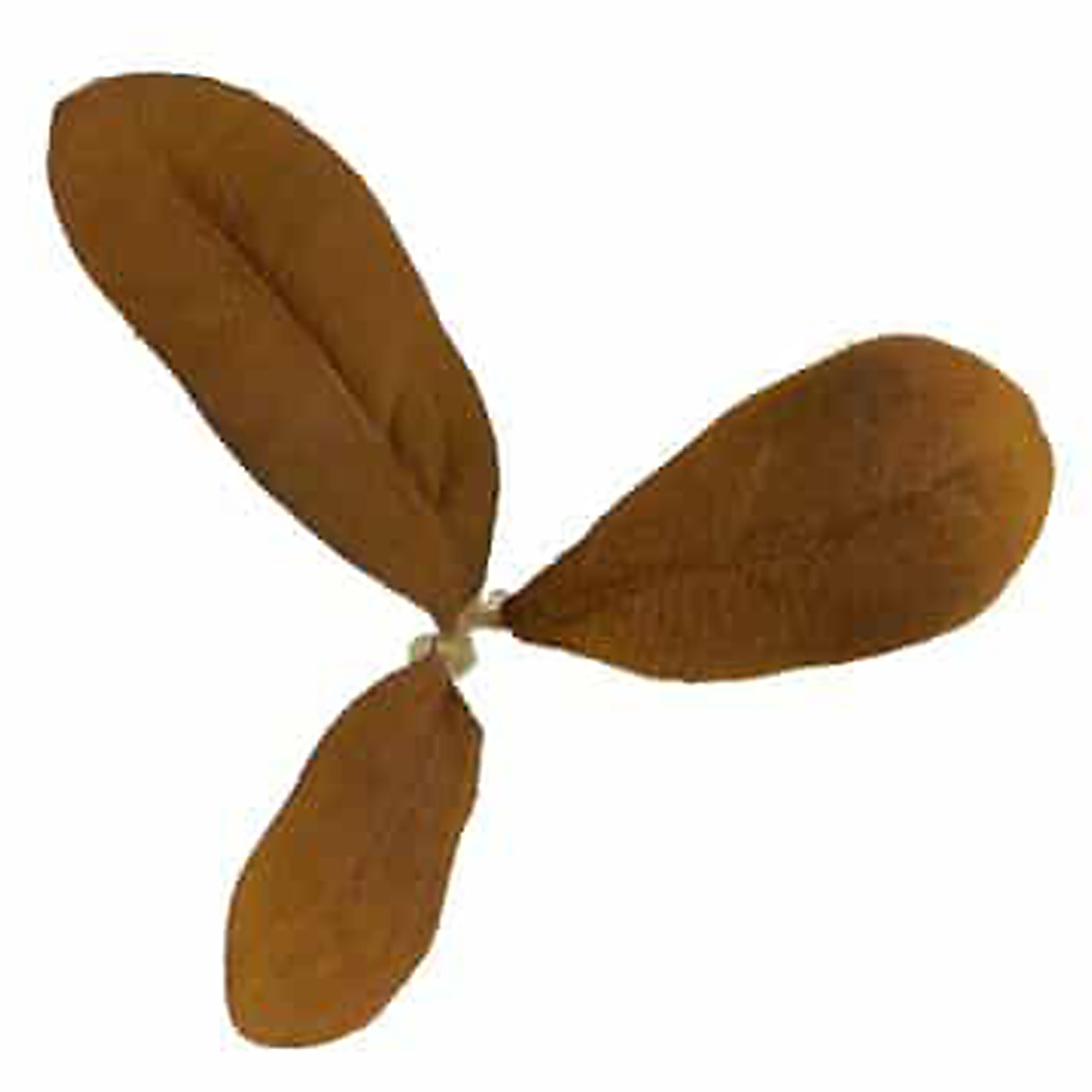 NOVRITSCH �͹��� Leaf Camo LC2 ���꡼�������� [ �������֥饦�� ] �º��� ����ե顼������ ����ե��� ������ ���ֲ������� ����...