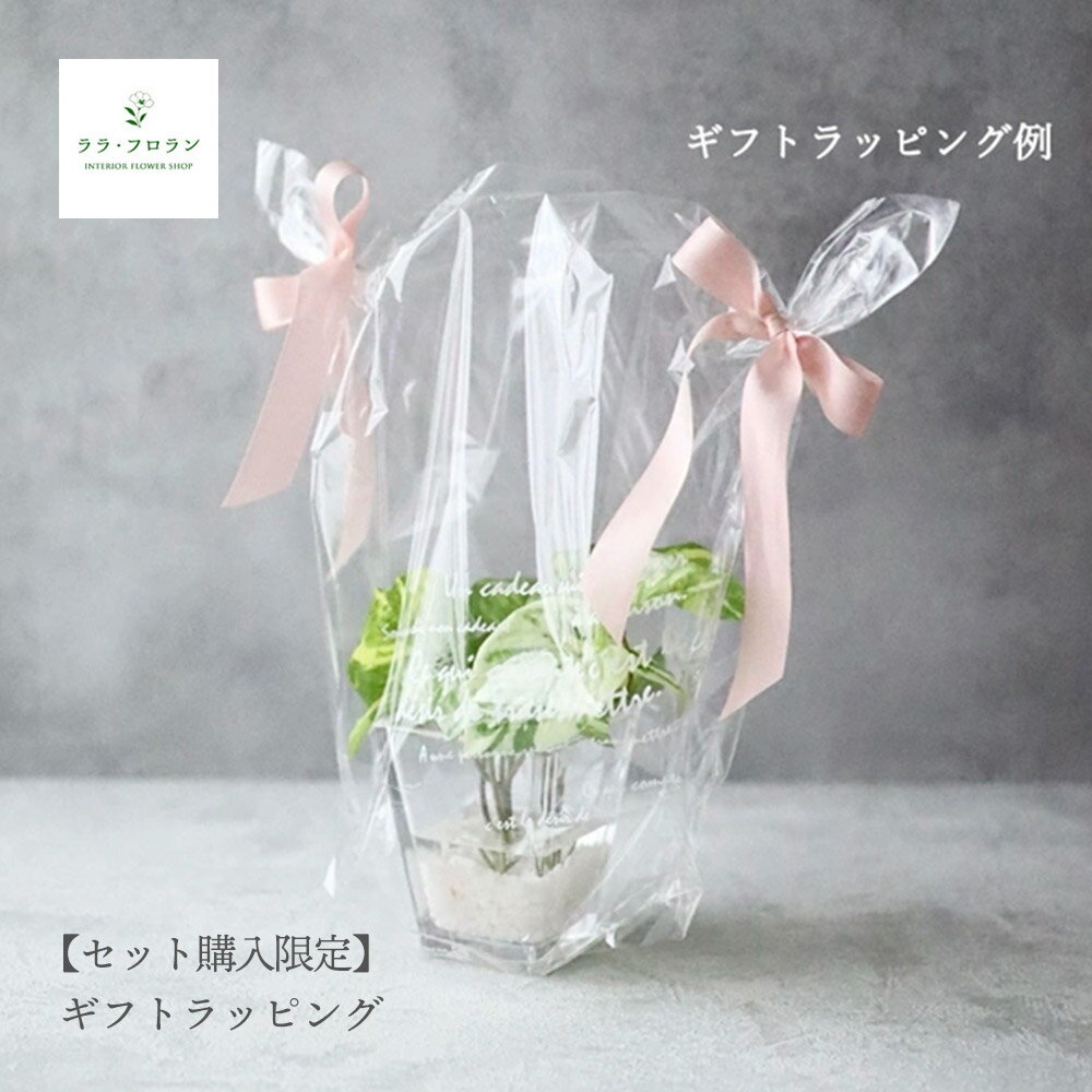 【セット購入限定】受注生産 [ララ・フロラン] ギフトラッピング