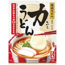 【ギフト包装・のし紙無料】三盛物産 力うどん UKA-10(A5)