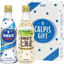【ギフト包装・のし紙無料】カルピス ギフトセット(2本) CN10P(B5)