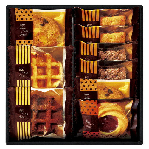 ڥեΤ̵ۥɥĥ쥯 ANZ-10(B5)