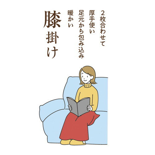 【ギフト包装・のし紙無料】クロスロード アイデア&厳選素材 厚手のゆったりマルチ毛布 2440(A3)